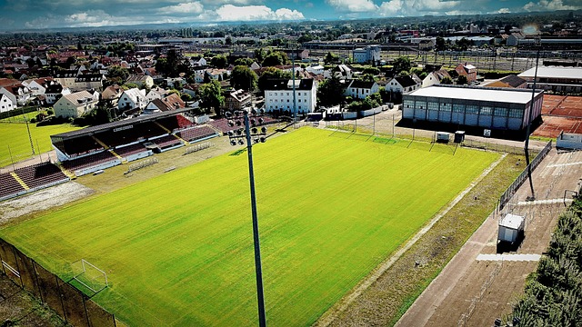 异却意外无 异却意外无