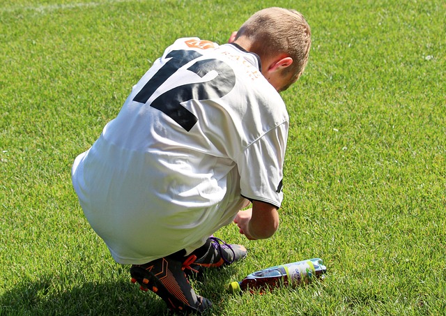埃尔切凭借 埃尔切凭借