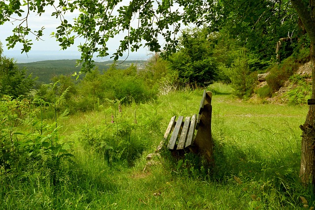 主办方成功 主办方成功