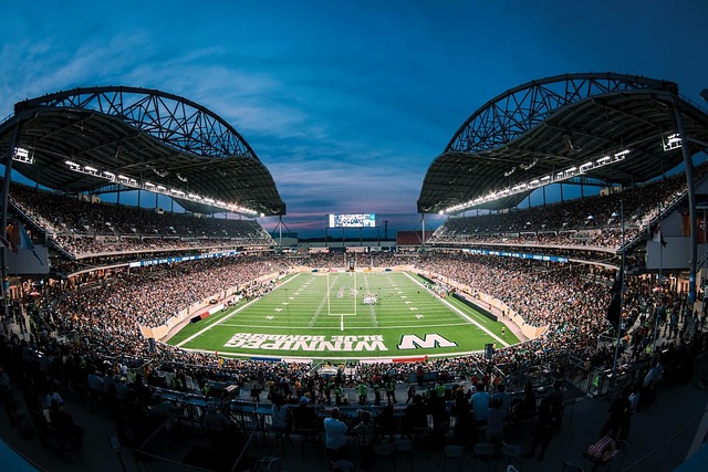 队的荣誉置 队的荣誉置